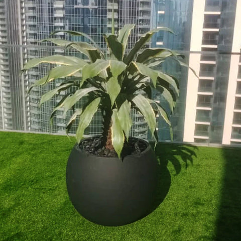 succulent wall garden decor