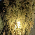 Ceiling flower arrangement for weddings