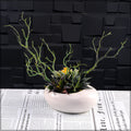 Ceramic indoor pot