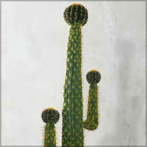 Artificial Desert Cactus Plant