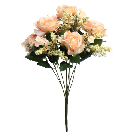 Multi-coloured rose bush