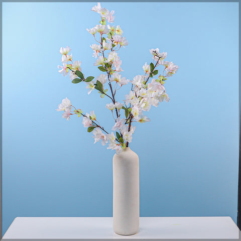 Cherry blossom flower