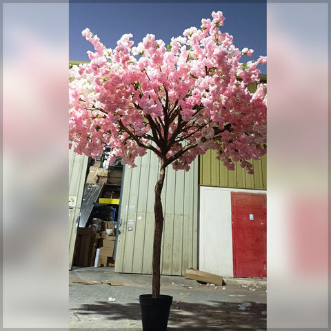 cherry blossom indoor decor