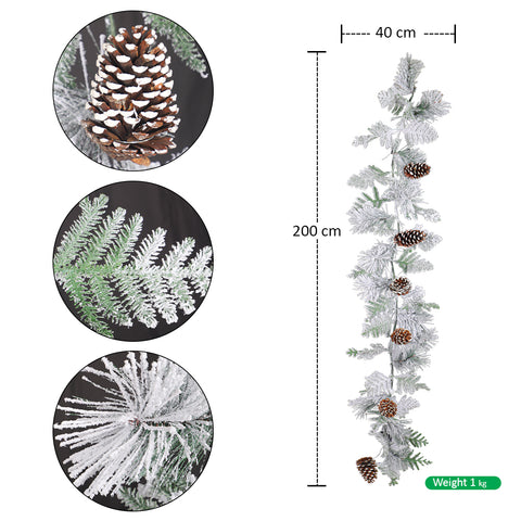 Evergreen Christmas Wreath