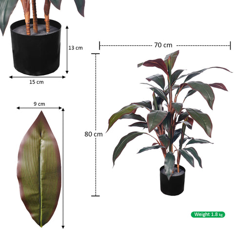 Artificial Cordyline Fruticosa Plant