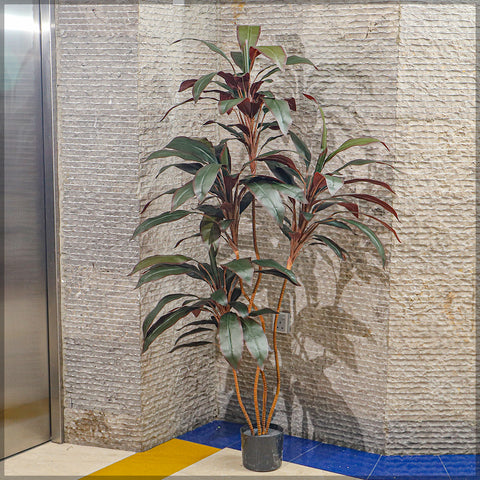 Artificial Cordyline Fruticosa Plant