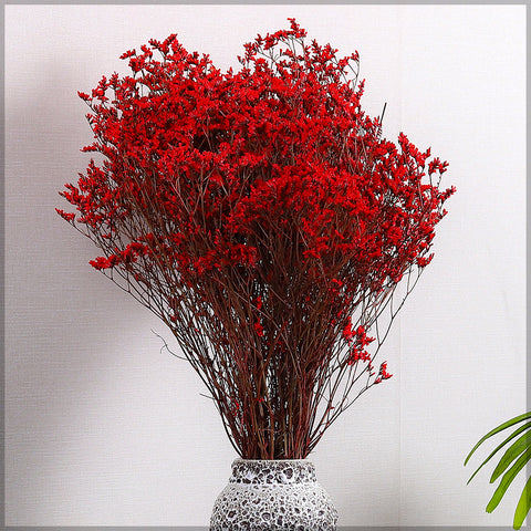 Dried Crystal Grass