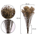 Natural Dried Plants