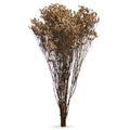 Dried Crystal Grass