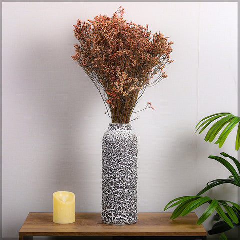 Dried Crystal Grass