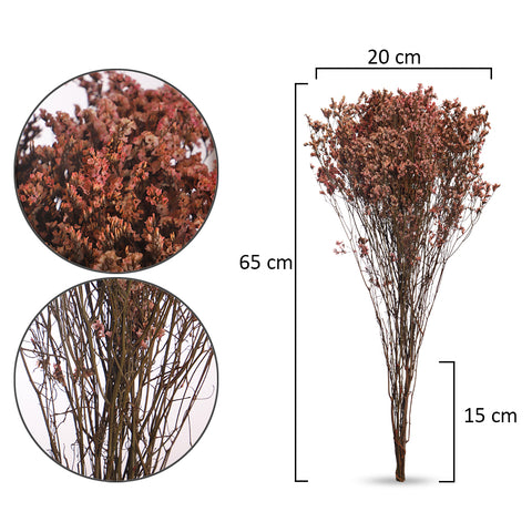 Dried Crystal Grass
