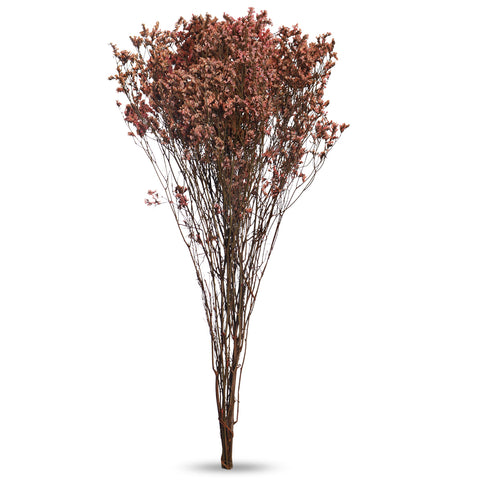 Dried Crystal Grass