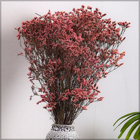 Dried Crystal Grass for Home Décor