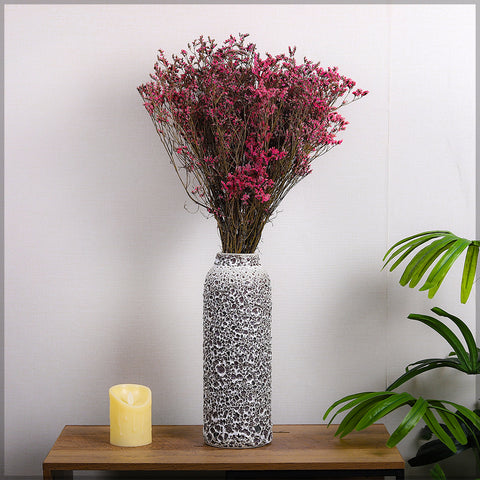 Dried Crystal Grass