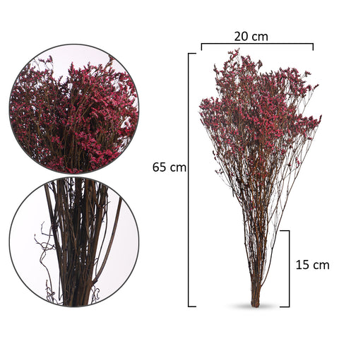 Dried Crystal Grass