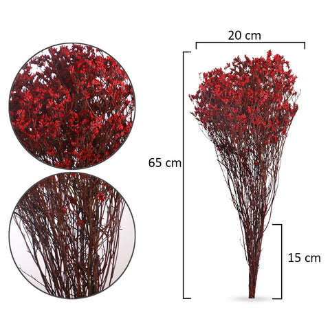 DIY Dried Grass Projects