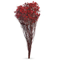 Fluffy Dried Grass for Vases