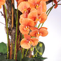 Orange orchid arrangement