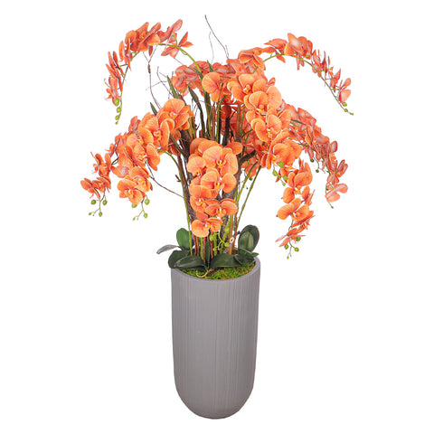 Natural look orchids
