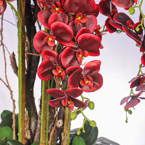 Faux orchids