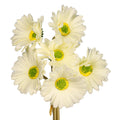 Real touch gerbera flower