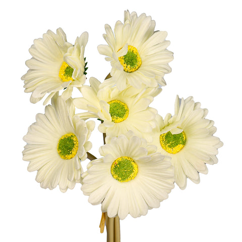 Real touch gerbera flower
