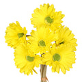 Fake gerbera flowers