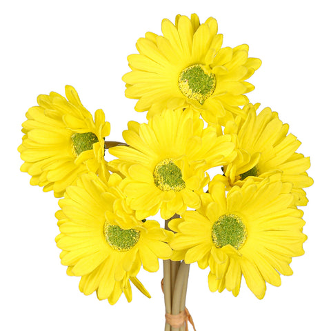 Fake gerbera flowers
