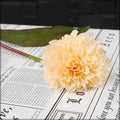Silk daisyball flower arrangements