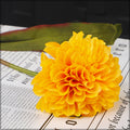 Faux daisyball stems
