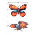 Butterfly crafts