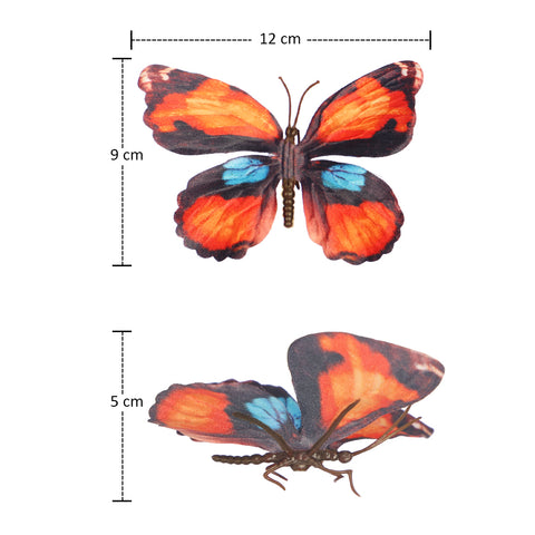 Butterfly crafts
