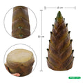 Bamboo shoot ornament