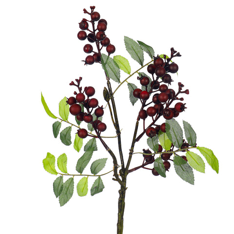 Decorative berry fruit stem