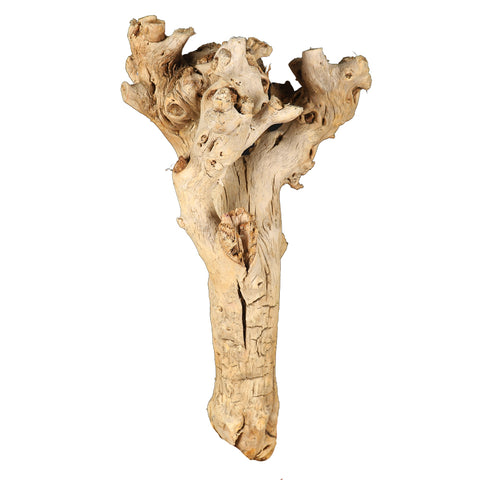 Decorative Natural Wood Branch
