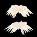 Real feather wings