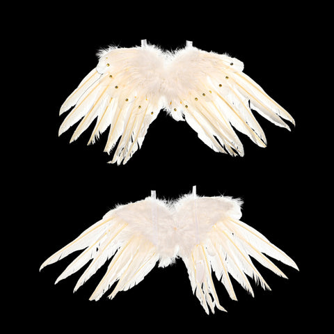 Real feather wings