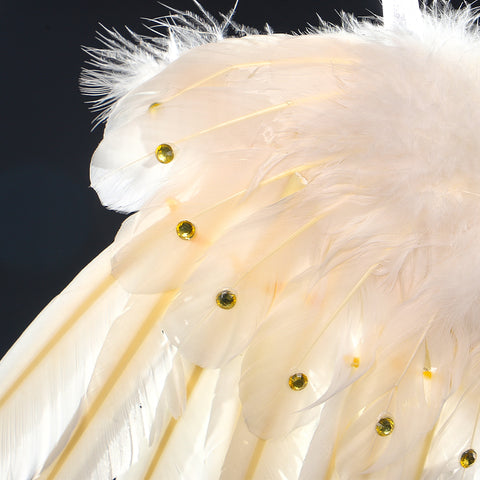 Feather wall decor