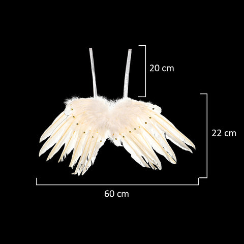 Feather wings for home decor