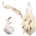 Elegant peacock decor for home