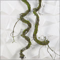 decorative moss twig