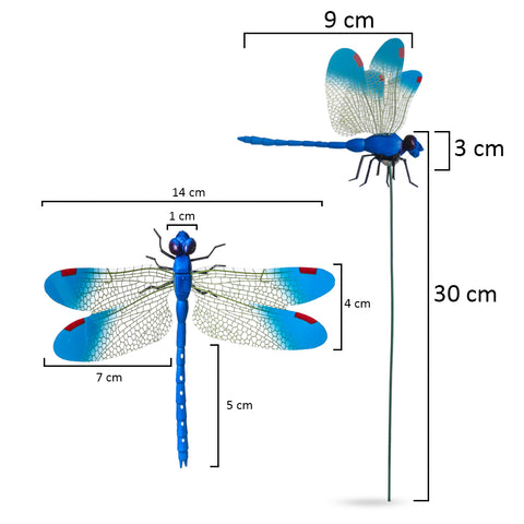 Dragonfly yard stick