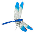 Garden dragonfly