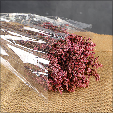 Dried Crystal Grass