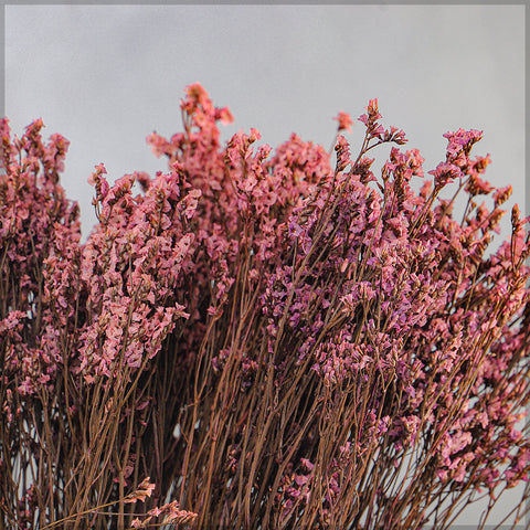 Dried Crystal Grass