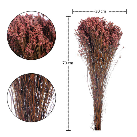 Dried Crystal Grass