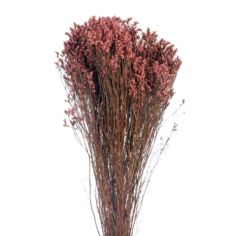 Dried Crystal Grass