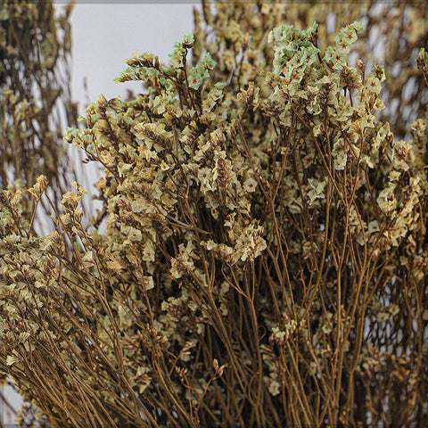 Dried Crystal Grass