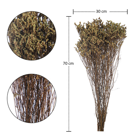 Dried Crystal Grass