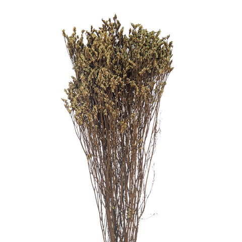Dried Crystal Grass